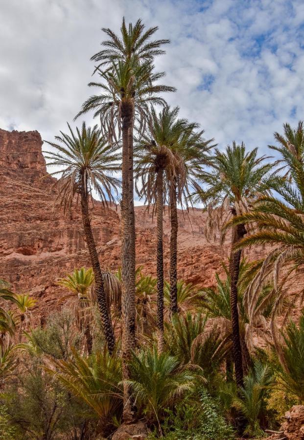 Auberge Kasbah Chez Amaliya Tafraout Kültér fotó
